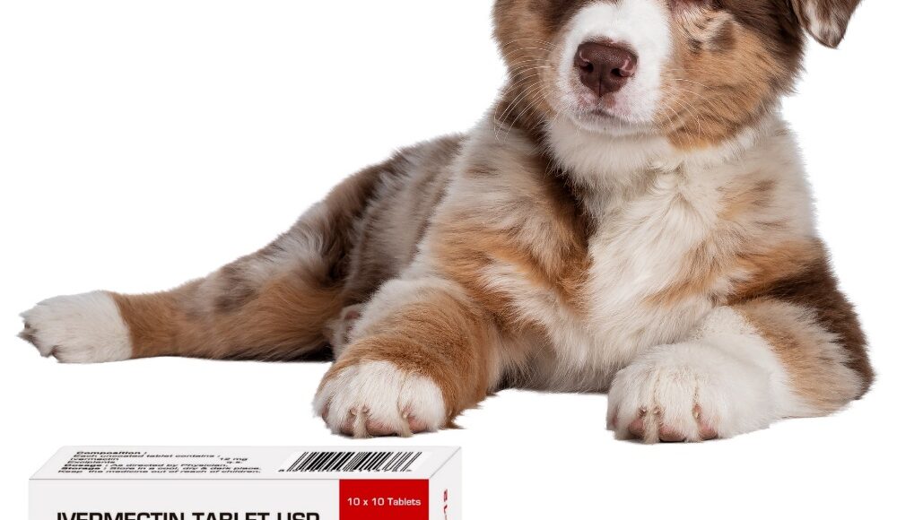 Safe, Reliable Medicine for a Healthier Life